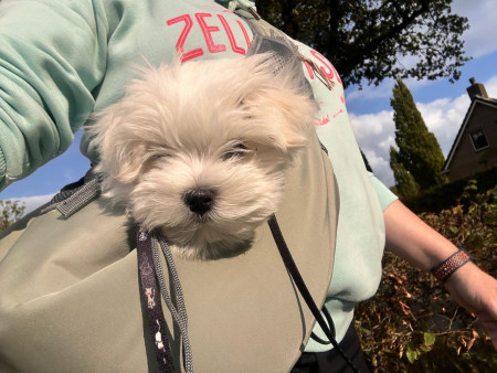 28-9-25 moe en in de draagtas in het zonnetje